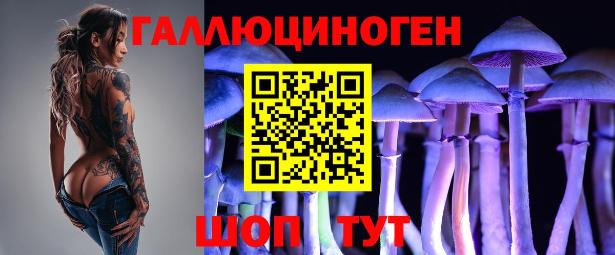 Галлюциногенные грибы Magic Shrooms Урус-Мартан
